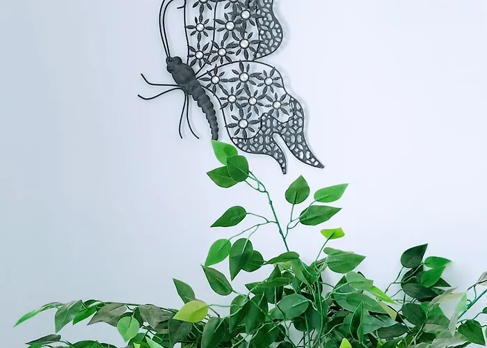 Lovely Agua & Fuego,heated Pool 普拉亚布兰卡