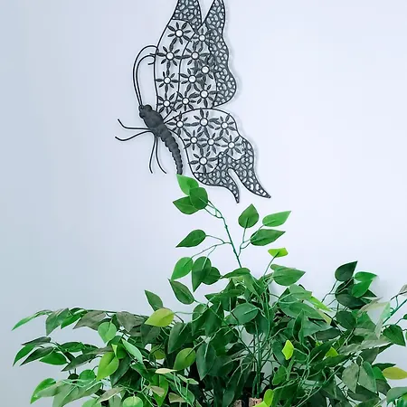 Lovely Agua & Fuego,heated Pool プラヤ・ブランカ